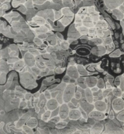 Abercrombie and Forshaw’s Greater London plan: a cellular drawing of separated communities.