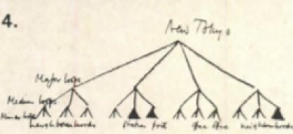 Hand-drawn tree labelled new Tokyo, major loops, medium loops, minor loops.